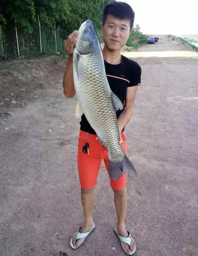 《渔获战报》大青鱼爆连引发的连环事件