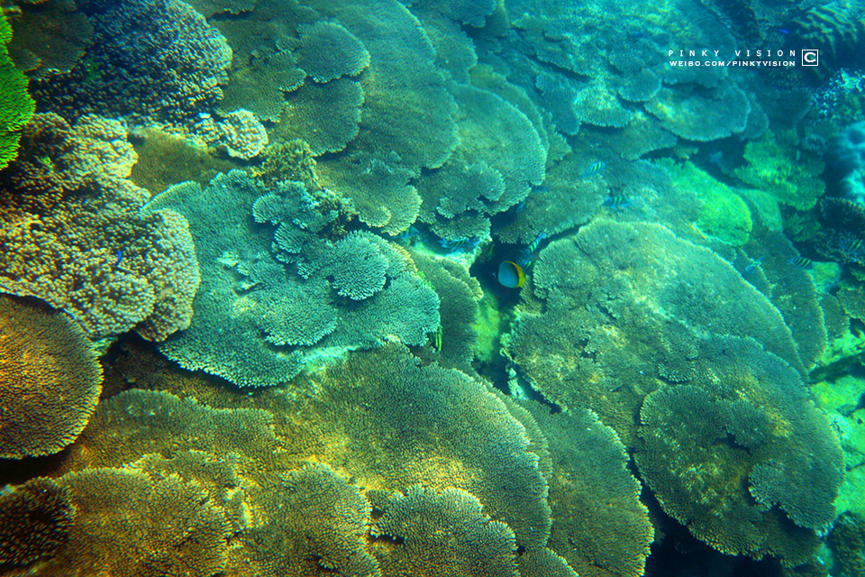 travel环球旅行,travel新旅行