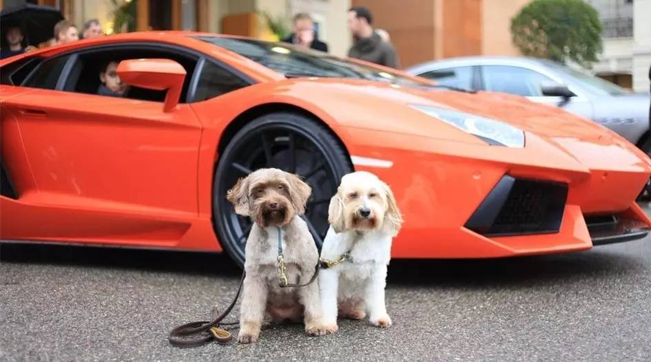 有几种人朋友圈一定要拉黑,你为啥拉黑别人