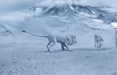 2集播放破5亿,两集播放量破亿