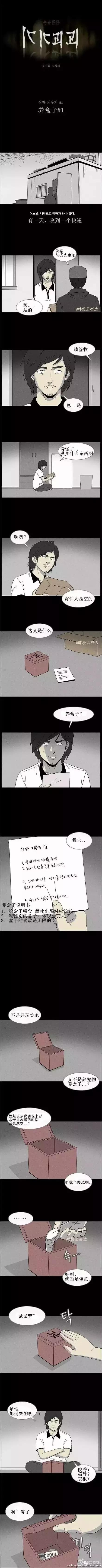 来自韩国的脑洞漫画------《养盒子》