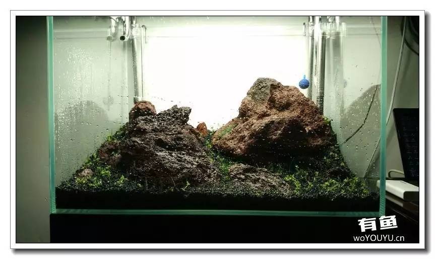 新手小白原生缸开缸教程,鱼缸怎么用高锰酸钾开缸详细教程