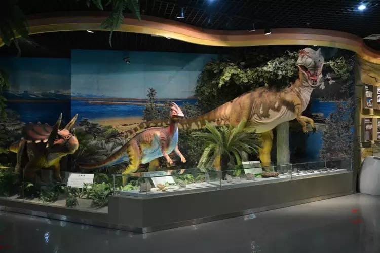 五一可以带孩子去银川吗,银川真的适合带孩子去吗