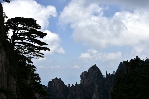 黄山四绝奇松迎客松,黄山五绝和黄山五胜