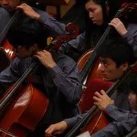 音乐节8月上海,8月上海音乐演出