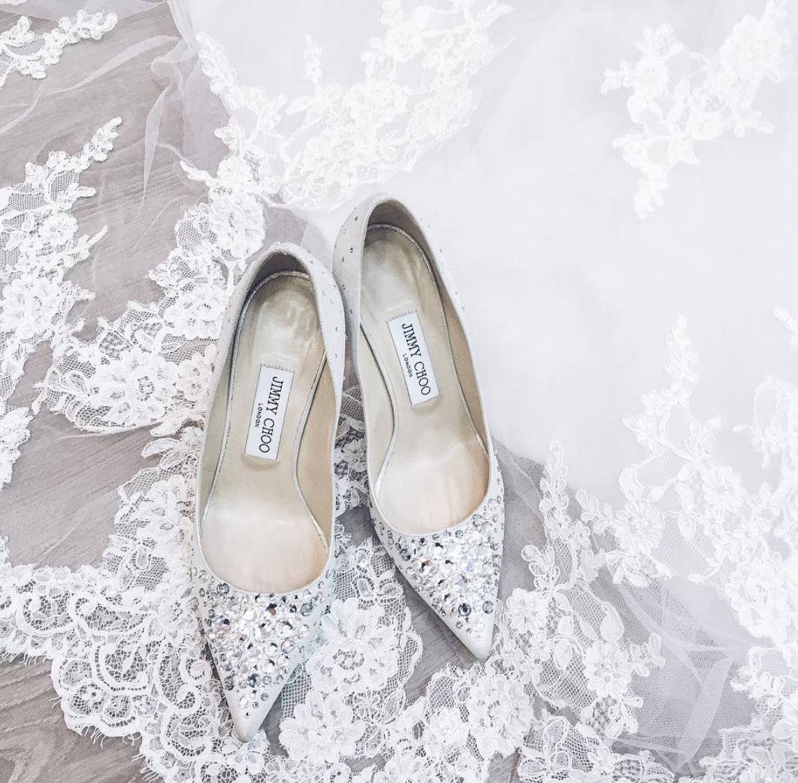 娱乐圈的虐狗行为,娱乐圈虐狗事件