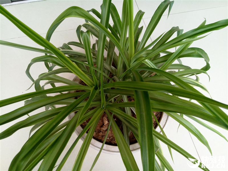 魅族mx6现在还值得买吗,1999魅族mx6