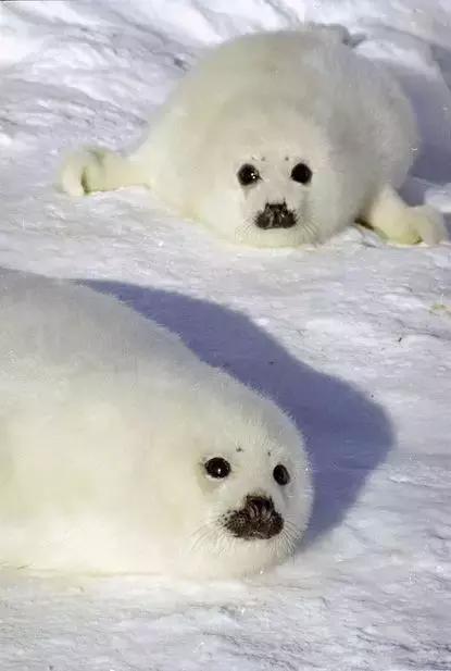 比东南亚划算还免签,只要1W,就能到俄国最美的贝加尔湖!