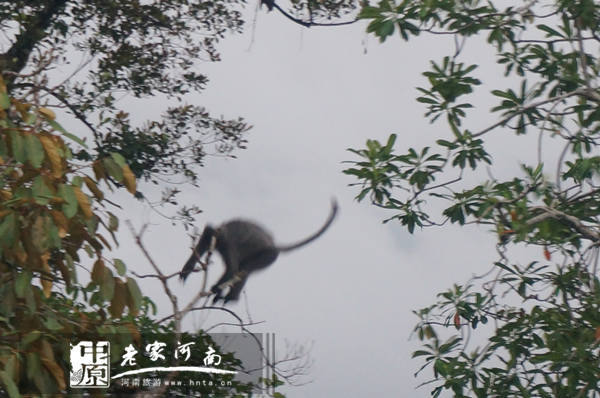 沙巴蜜月七日游推荐,完美假期泰国游青春版