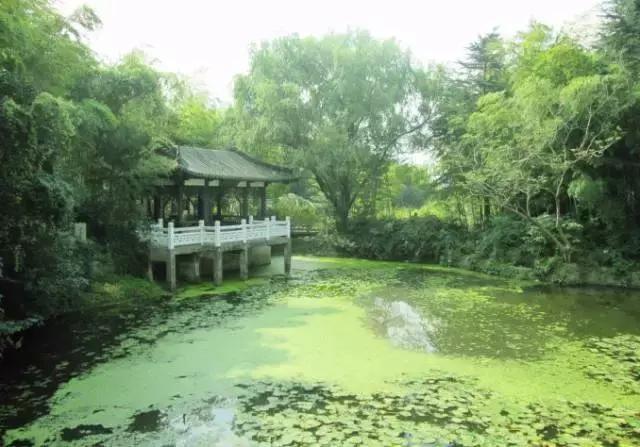 南京地铁三期最新消息,南京最近要开通的地铁