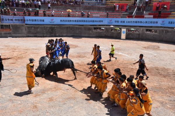 2018凯里斗牛大赛,中国斗牛超级联赛