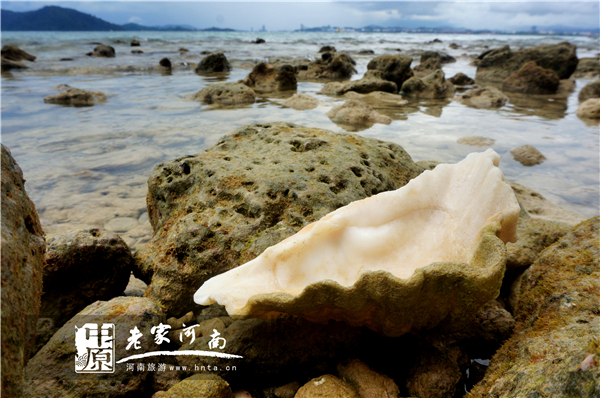 玩美假期马来西亚旅游,六日沙巴自由行攻略