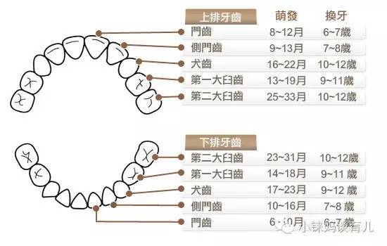 儿童乳牙龋齿烂了有必要补牙吗,乳牙蛀了是套牙套还是补牙