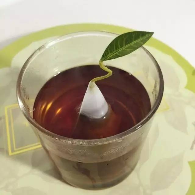 有哪些牌子好的茶包,有哪些好的茶包牌子