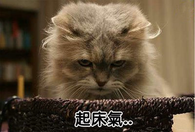 起床之后想杀人！这病还有的治吗？