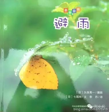 下雨天最适合带孩子做什么?坐在窗前看雨听故事(下雨主题绘本)