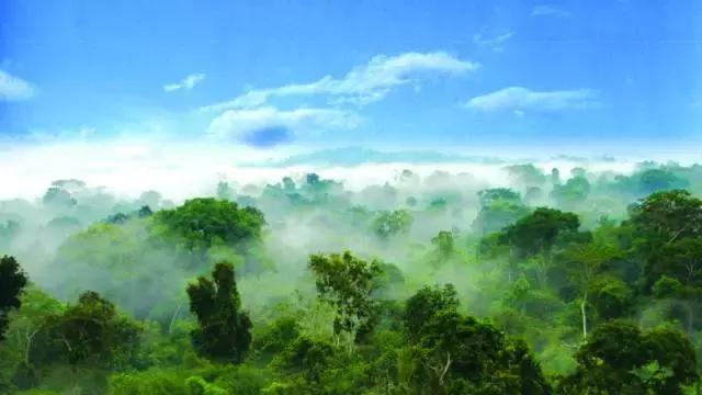 红军精神照我行——花甲老人100公里越野跑全记录