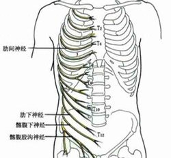 乙肝脾虚阴虚寒湿气重中药方,活血化瘀乙肝中药方