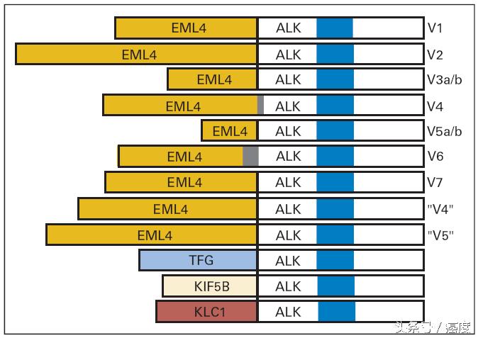 alk基因突变靶向药物作用点,alk基因突变靶向药物有几代