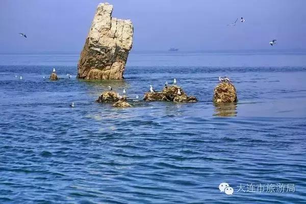 庄河黑岛好去处,庄河黑岛在什么位置
