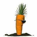 肌肉型萝卜腿瘦腿全方案,一周快速瘦腿秘诀告别小粗腿