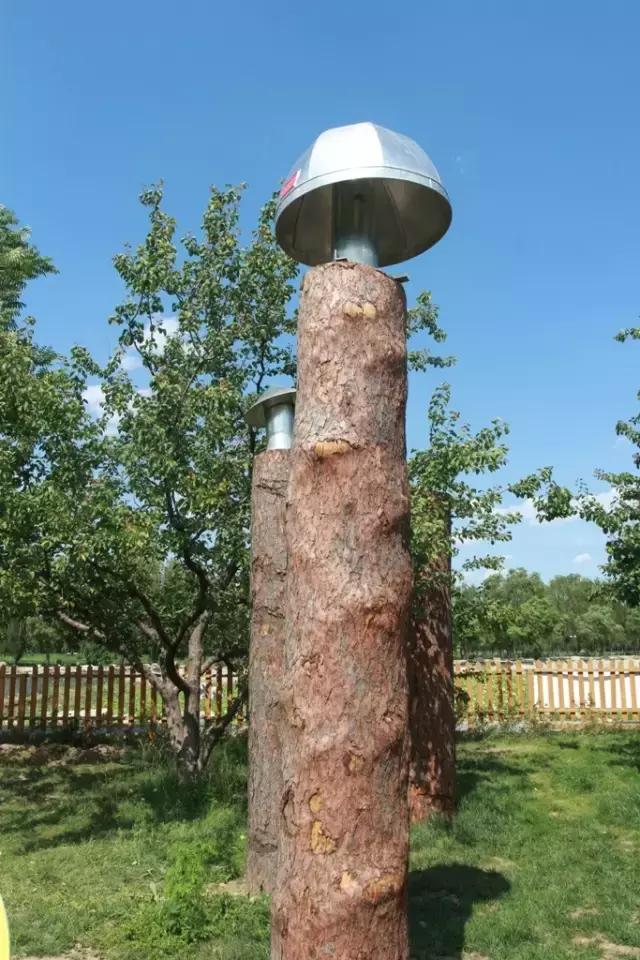 北京稻香湖景酒店儿童乐园,稻香湖欢乐岛温泉城堡儿童乐园