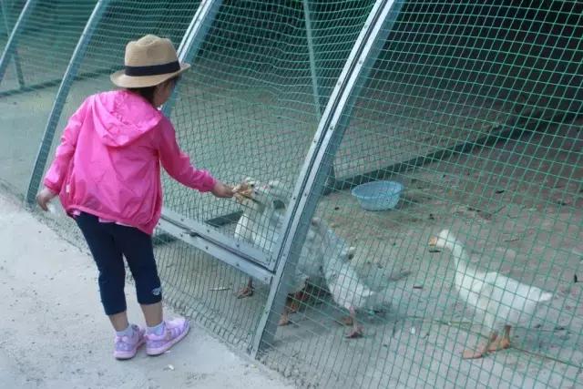 北京稻香湖景酒店儿童乐园,稻香湖欢乐岛温泉城堡儿童乐园