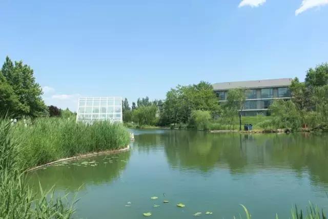 北京稻香湖景酒店儿童乐园,稻香湖欢乐岛温泉城堡儿童乐园