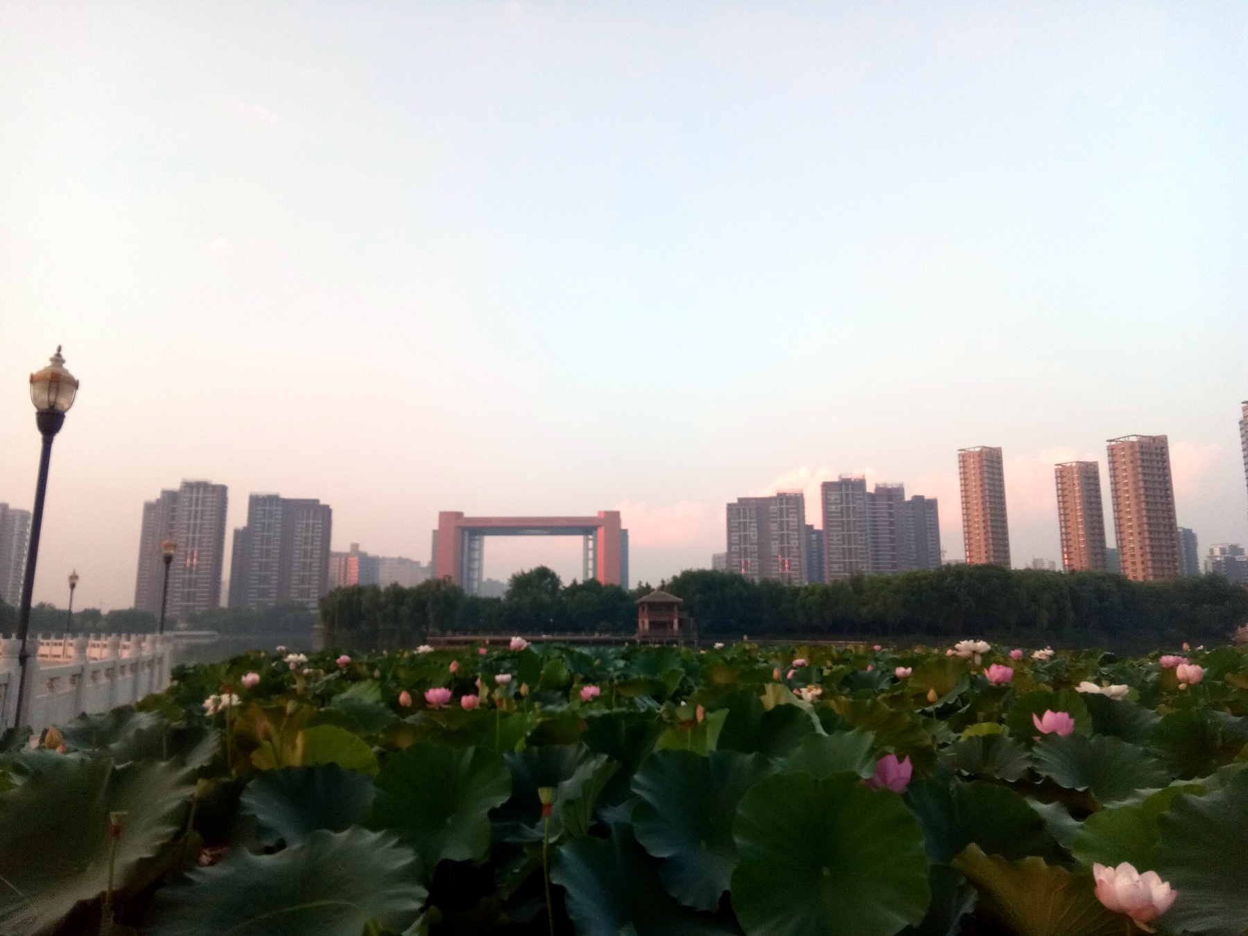 小品牌性价比电动车,酷比max5参数