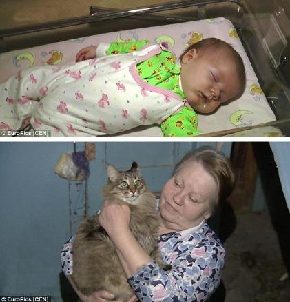 俄罗斯豹纹猫,尾气猫