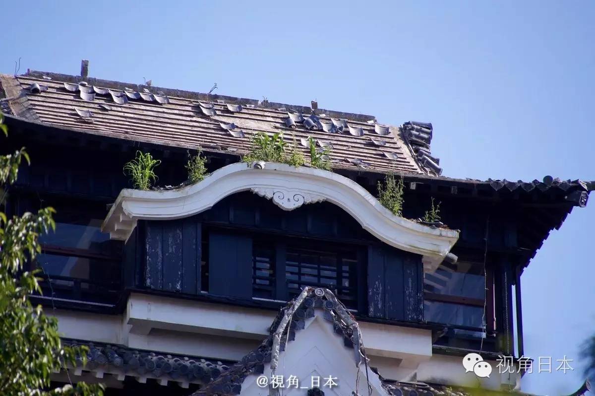 三鹰之森吉卜力美术馆到成田机场,三鹰之森吉卜力美术馆闭馆时间