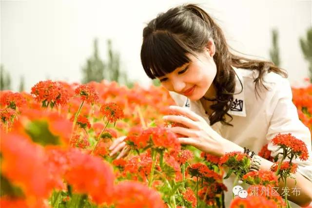 速递▏想参加金佛寺镇“花之海”观光旅游节暨第二届李广杏采摘节的友友们，节会最新进展情况在这里！