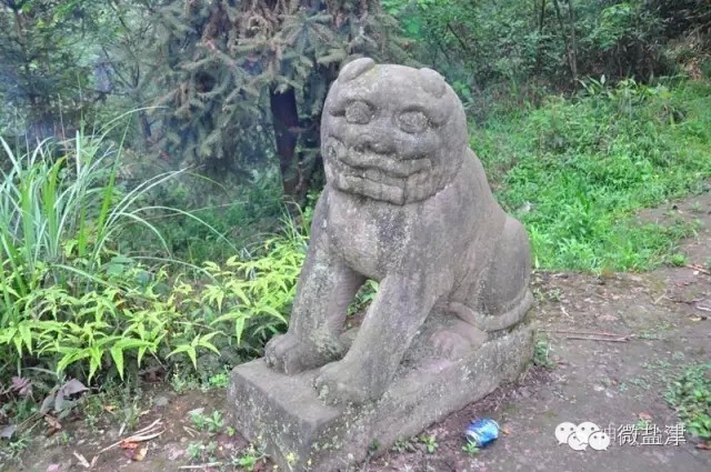 盐津普洱夷都“乌蒙王”罗星史略