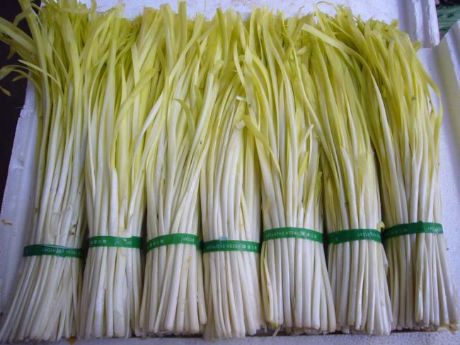 韭黄22块一斤,韭黄12元一斤