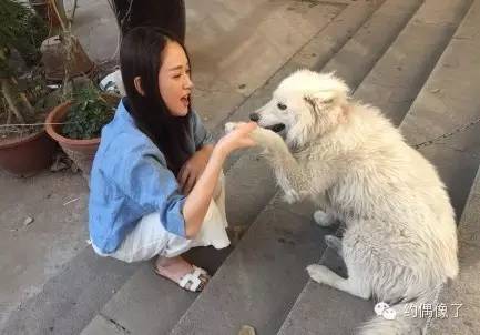 陈乔恩东方不败一招制敌,陈乔恩东方不败采访一招制敌