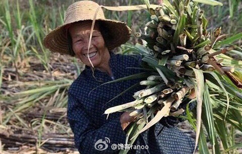 馋客淘美食|云南大理养生古方手工黑糖