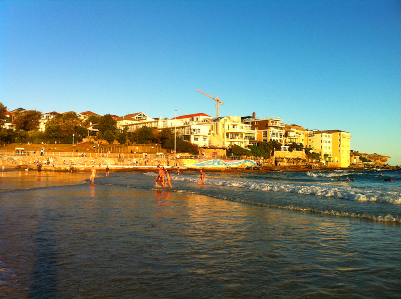 悉尼是啥味道,悉尼盐蚝