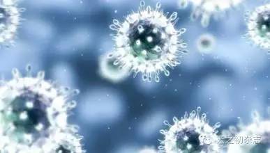 宫颈癌疫苗接种完后多久可以怀孕,宫颈癌疫苗价格表及注意事项