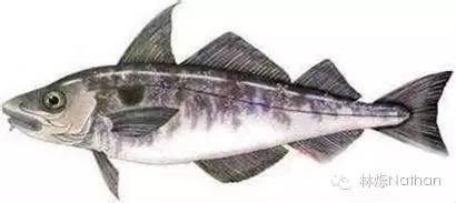 营养密集型食物大全,10个必吃的超级食物清单