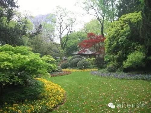 厦门适合野外烧烤的地方,厦门下雨天自己烧烤好去处