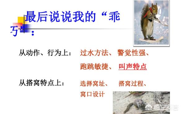 五年级作文能力如何提高？教你如何借鉴课文提高写作水平