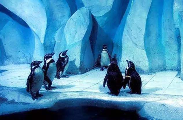 辽宁景点门票,辽宁省景点大全一览表