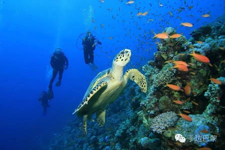 免签旅游地,免签地区汇总