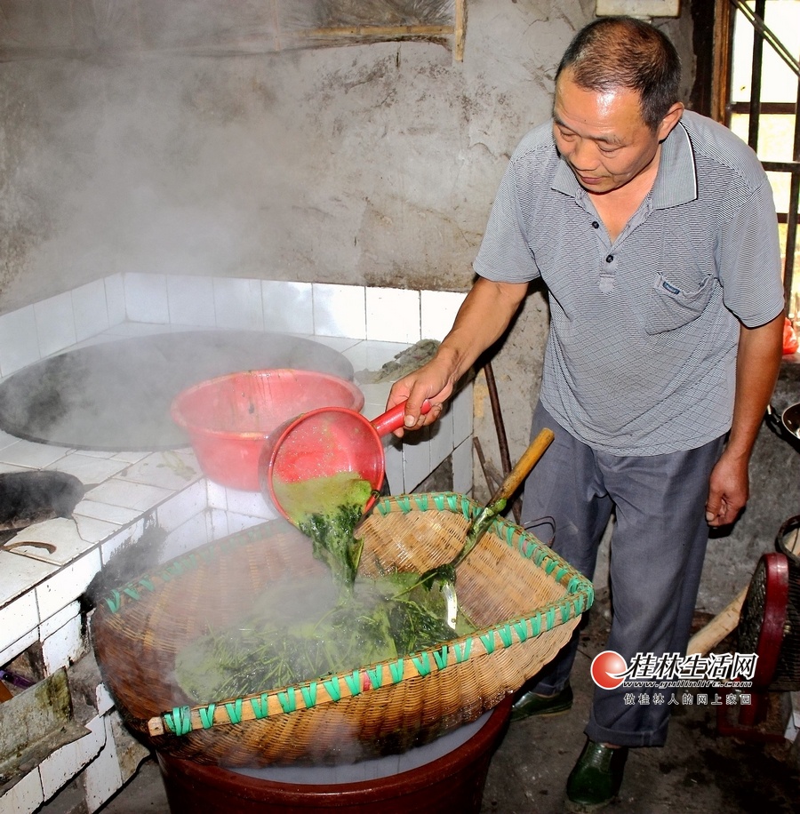 仙人豆腐消失的原因,仙人豆腐的发源地