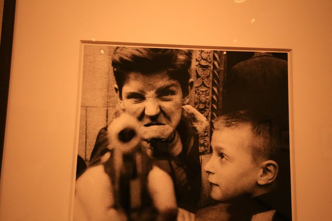 【轻年计划×发现纽约州】--我看纽约