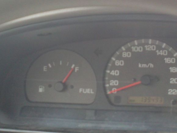 “射鸡”历险记打鸡血然后。