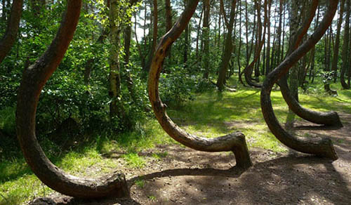 世界七大最恐怖的圣地,世界上神秘又恐怖的十个地方