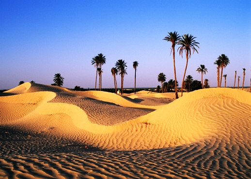 迪拜白天有多震撼,迪拜为什么那么热