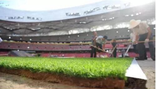 中国足球冲出亚洲,中国足球或崛起