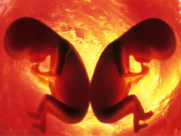 为了套出胎儿性别孕妇简直是拿绳命跟医生开玩笑!